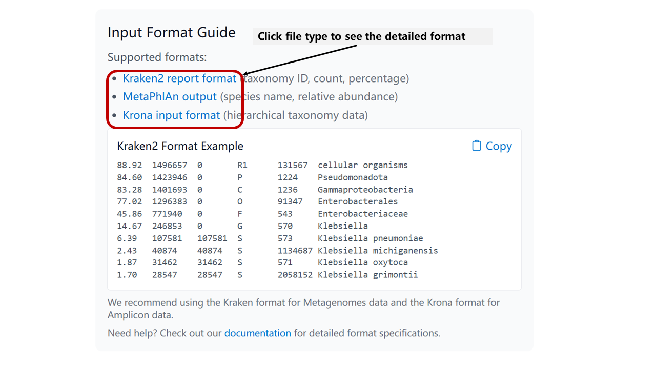 File Format Example