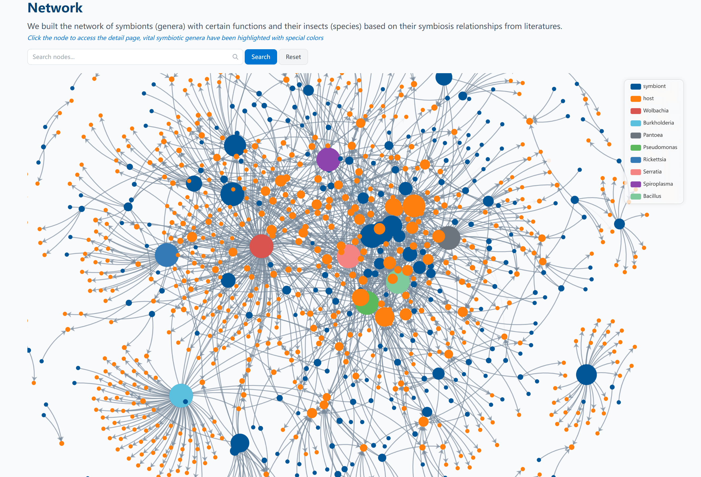 Network Visualization
