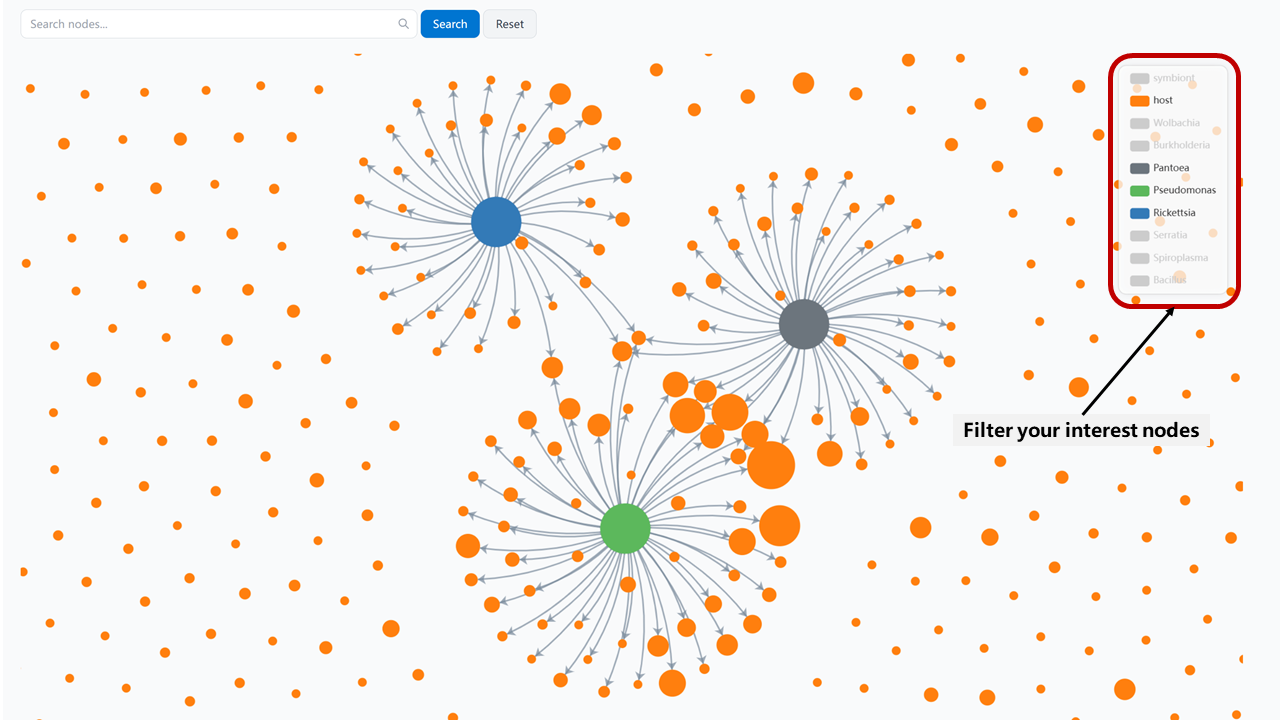 Network Filter Example